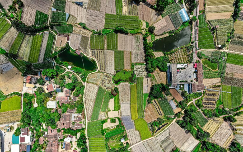 Aerial View of land use